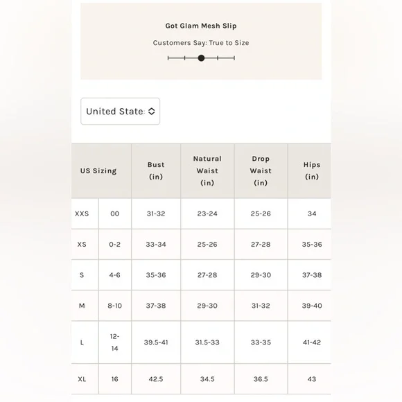 NWOT Free People Intimately, Got Glam Mesh Slip Dress, Large in Pink Salt - Picture 9 of 9